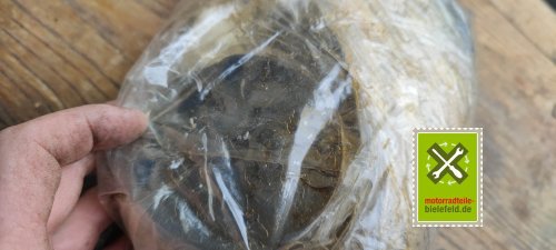 IMG_20230827_130649